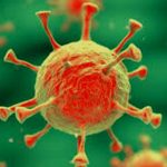 The Truth About Spreading of Covid-19 (Corona Virus)